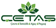 ÇETAŞ Logo
