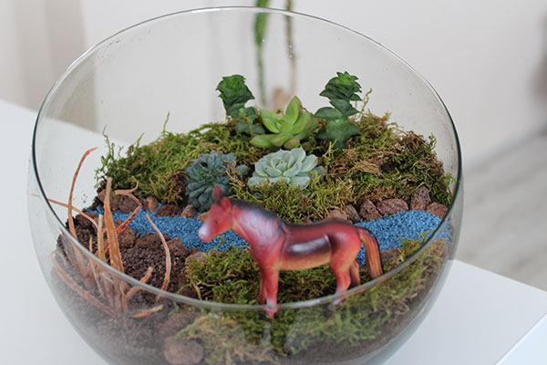 Terrarium atölye
