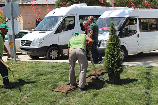Çim Serimi Faaliyetleri