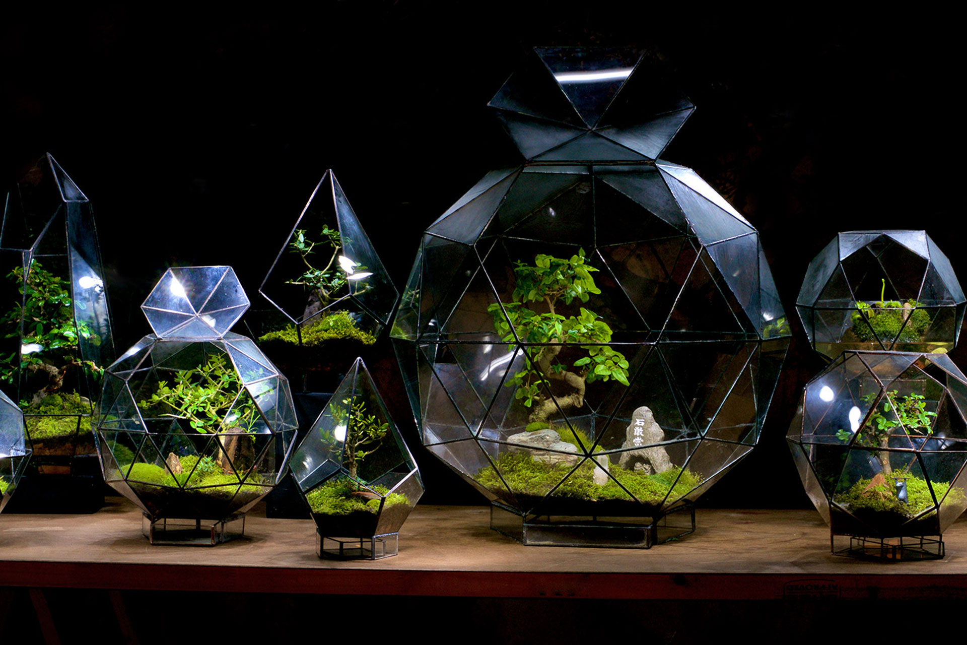 Minyatür bahçe ve terrarium atölye çalışmaları